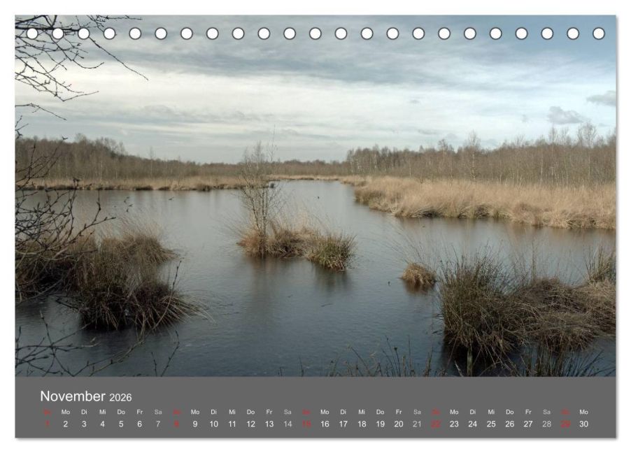 InsideView 3