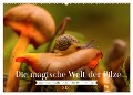 Die magische Welt der Pilze (Wandkalender 2024 DIN A2 quer), CALVENDO Monatskalender - Simone Sperber