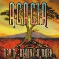 Acacia: Book One: The War with the Mein - David Anthony Durham
