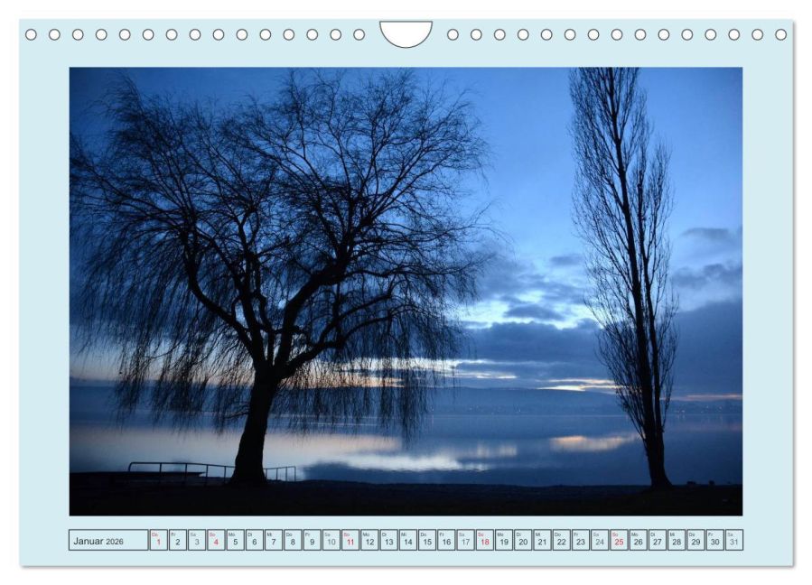 InsideView 6