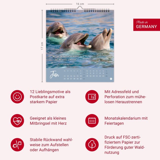 InsideView 13