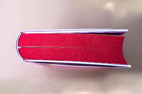 InsideView 8