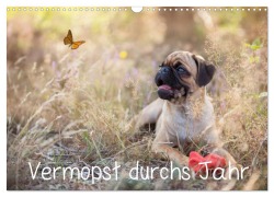 Cover-Bild zum Titel 'Vermopst durchs Jahr (Wandkalender 2026 DIN A3 quer), CALVENDO Monatskalender' von 'FotosVonMaja FotosVonMaja'