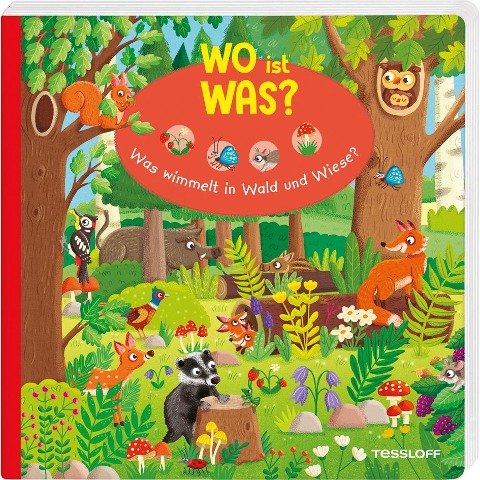 WO ist WAS? Was wimmelt in Wald und Wiese? - Julia Reindl