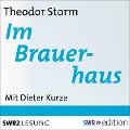 Cover-Bild zum Titel 'Im Brauerhaus' von 'Theodor Storm'