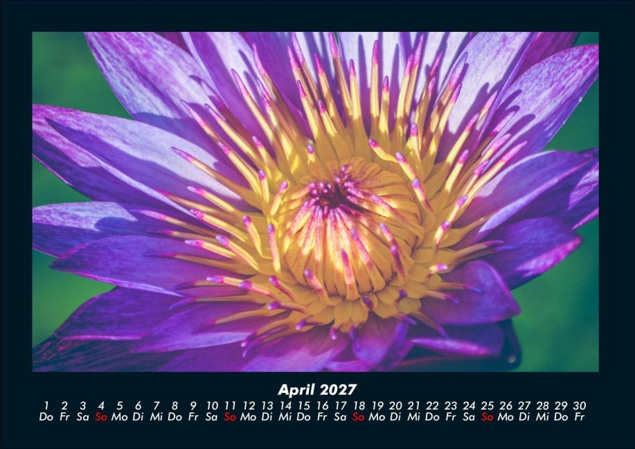 InsideView 8