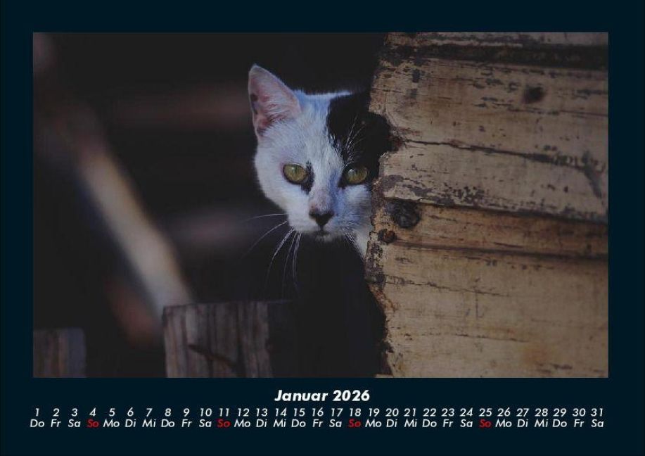 InsideView 5