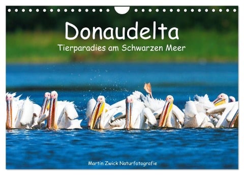 Donaudelta - Tierparadies am Schwarzen Meer (Wandkalender 2025 DIN A4 quer), CALVENDO Monatskalender - Martin Zwick