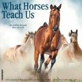 What Horses Teach Us 2024 12 X 12 Wall Calendar - Willow Creek Press