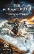 Cover-Bild zum Titel 'Der Schimmelreiter' von 'Theodor Storm'