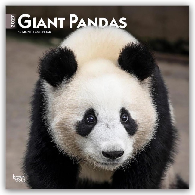 Giant Pandas - Großer Panda - Pandabären 2027 - 16-Monatskalender - Browntrout Publishers