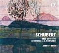 Cover-Bild zum Titel 'Trio Opus 100/Sonatensatz/Notturno' von 'Busch Trio'