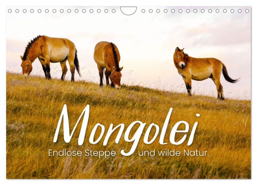 Mongolei - Endlose Steppe und wilde Natur. (Wandkalender 2026 DIN A4 quer), CALVENDO Monatskalender - Happy Monkey