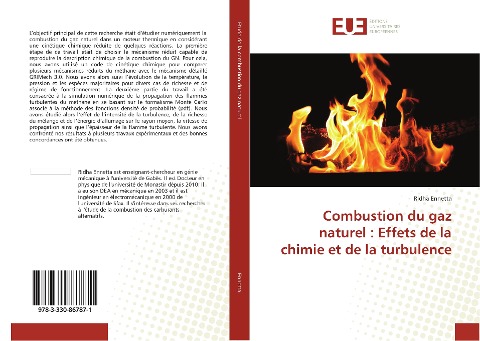 Combustion du gaz naturel : Effets de la chimie et de la turbulence - Ridha Ennetta