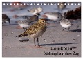 Limikolen Watvögel auf dem Zug (Tischkalender 2024 DIN A5 quer), CALVENDO Monatskalender - Winfried Erlwein