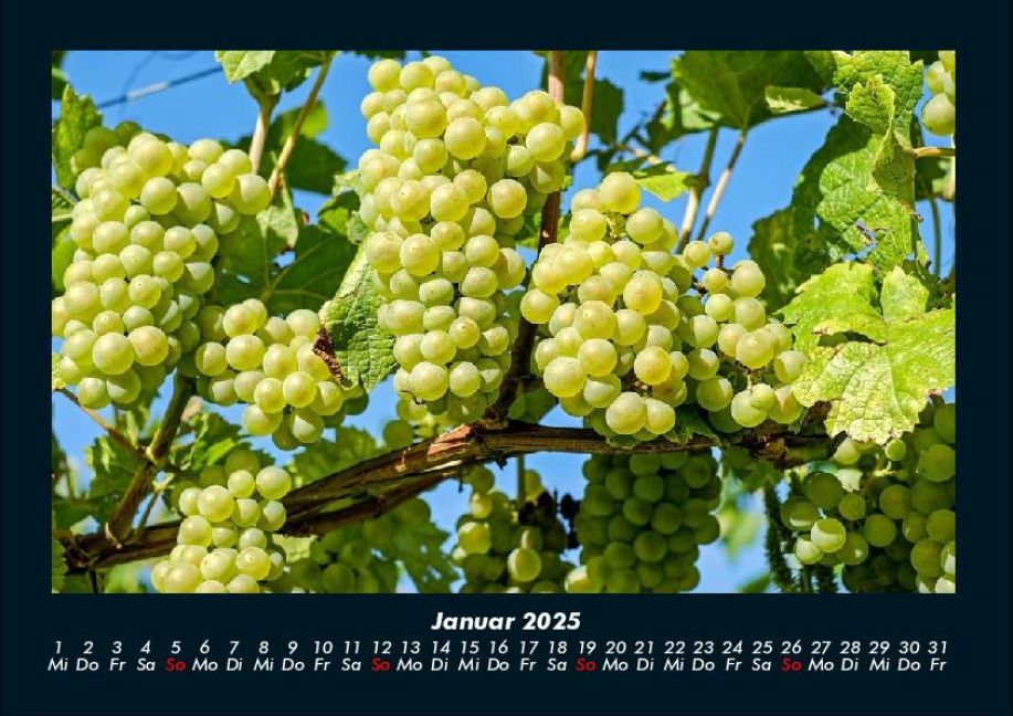 InsideView 5