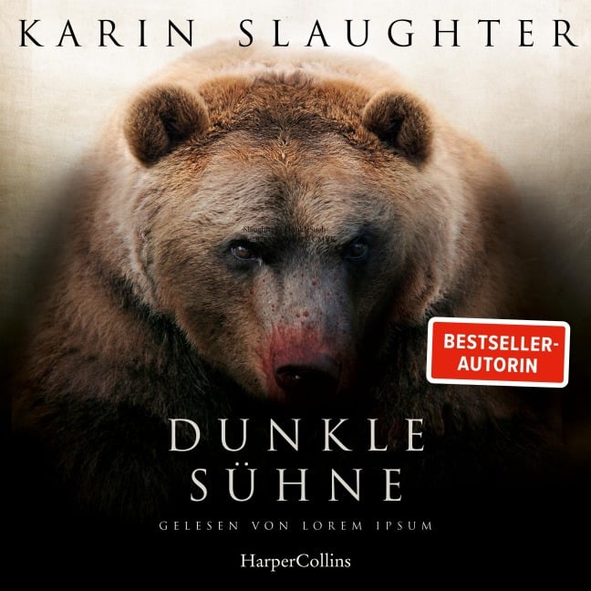 Dunkle Sühne - Karin Slaughter