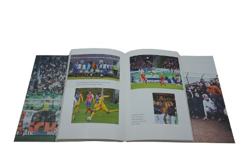 InsideView 6
