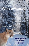 Cover-Bild zum Titel 'Winterwunder - Nicht gesucht und doch gefunden' von 'Emilia Grace'