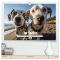 Tier Selfies (hochwertiger Premium Wandkalender 2025 DIN A2 quer), Kunstdruck in Hochglanz - 