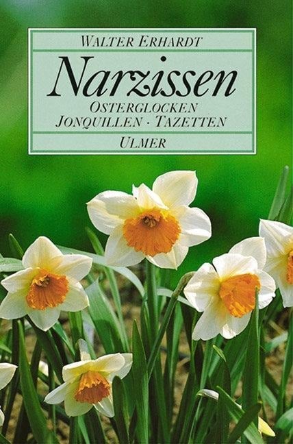 Narzissen - Walter Erhardt