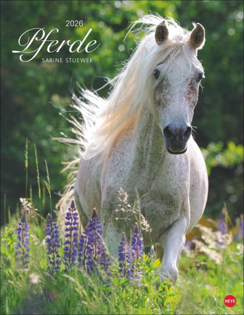 Pferde Classics Posterkalender 2026 - 