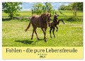 Fohlen - die pure Lebensfreude (Wandkalender 2024 DIN A2 quer), CALVENDO Monatskalender - Elke Laage