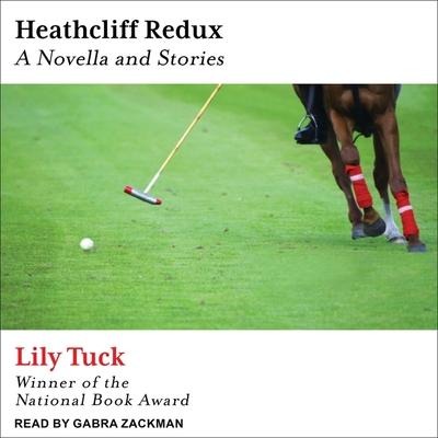 Heathcliff Redux: A Novella and Stories - Lily Tuck