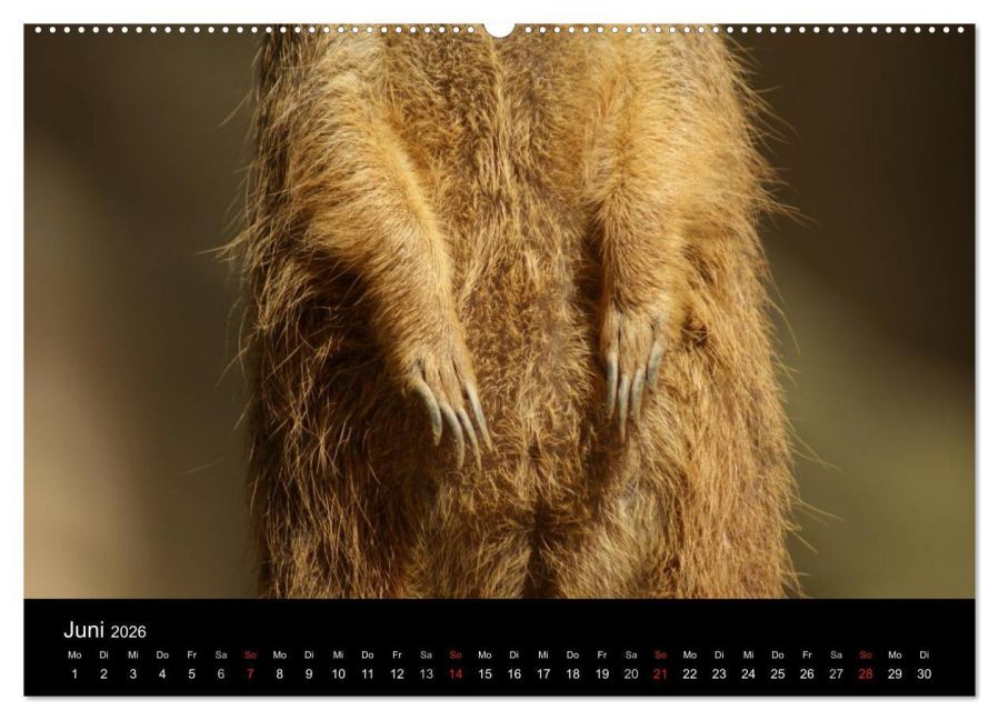 InsideView 11