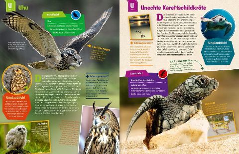 InsideView 14