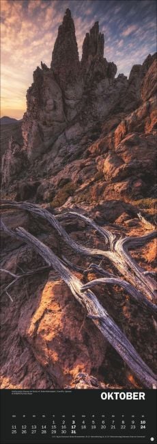 InsideView 10