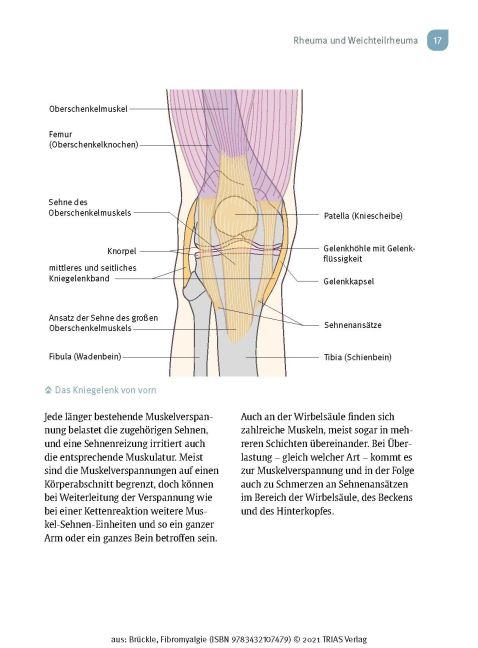 InsideView 10