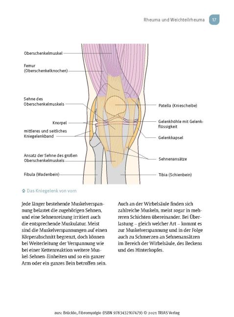 InsideView 10