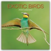 Exotic Birds - Exotische Vögel 2026 - 16-Monatskalender - Gifted Stationery Co. Ltd