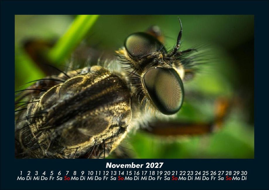 InsideView 3