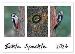 Cover-Bild zum Titel 'Echte Spechte (Wandkalender 2026 DIN A2 quer), CALVENDO Monatskalender' von 'Gerald Wolf'