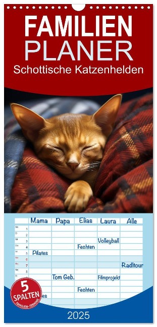 Familienplaner 2025 - Schottische Katzenhelden mit 5 Spalten (Wandkalender, 21 x 45 cm) CALVENDO - Daniela Tapper