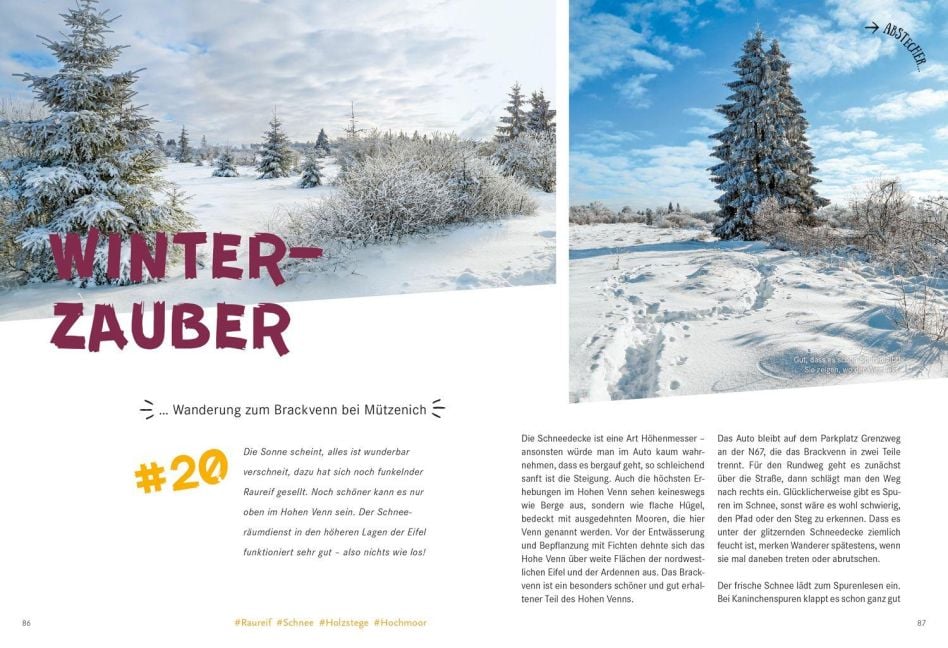 InsideView 5