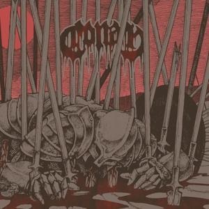 Evidence of Immortality - Conan