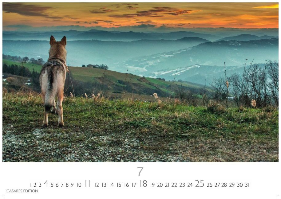 InsideView 7