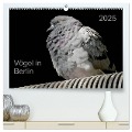 Vögel in Berlin (hochwertiger Premium Wandkalender 2025 DIN A2 quer), Kunstdruck in Hochglanz - Verena Mahrhofer