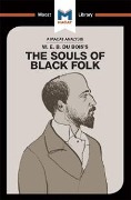 Cover-Bild zum Titel 'An Analysis of W.E.B. Du Bois's The Souls of Black Folk' von 'Jason Xidias'