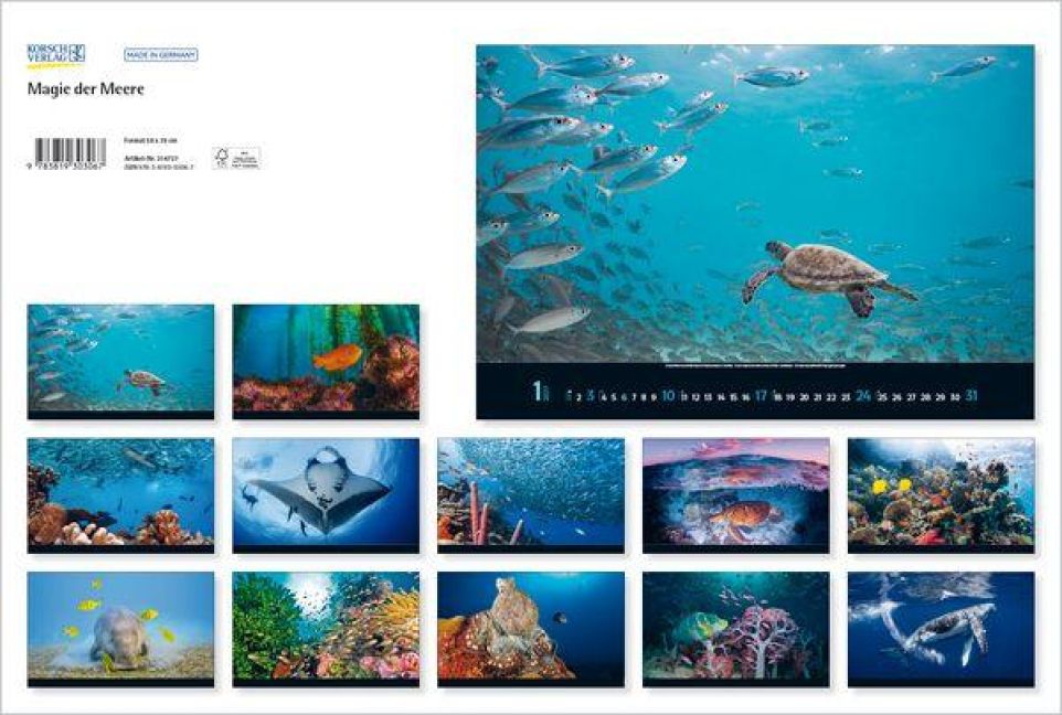 InsideView 13