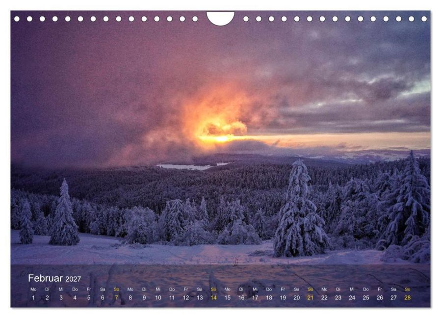 InsideView 7