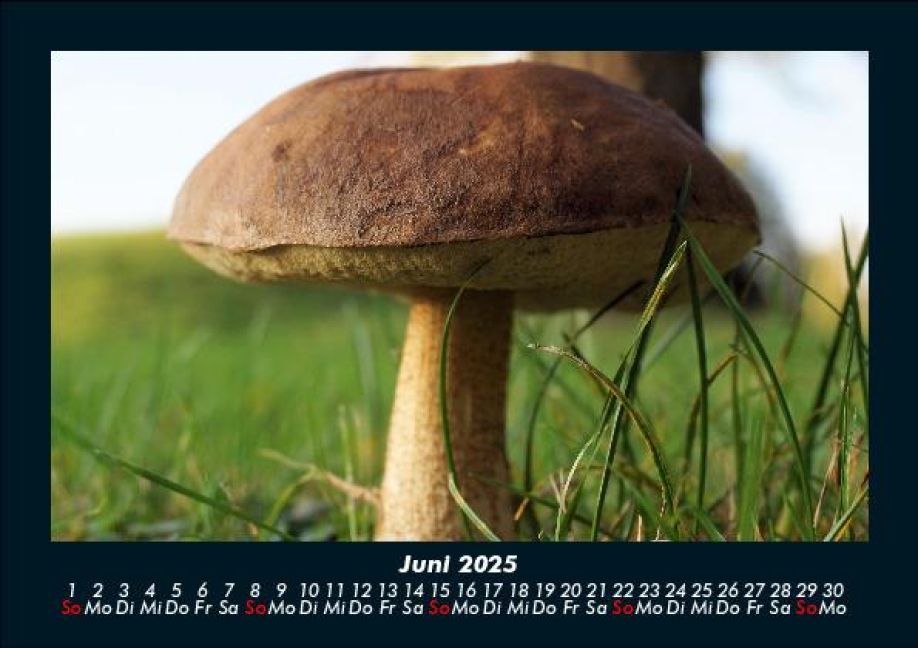 InsideView 10