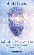 BrainRewire - Gabriel Palacios