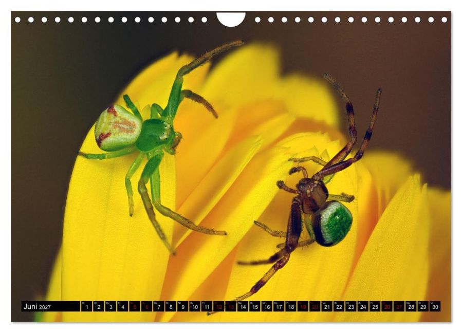 InsideView 11