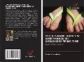 Cover-Bild zum Titel 'DEFINIOWANIE KOBIET W AMERYKA¿SKIM I INDIA¿SKIM PRIME TIME' von 'Tanni Chaudhuri'