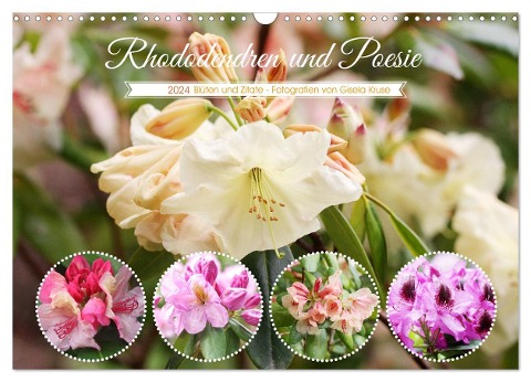 Rhododendren und Poesie (Wandkalender 2024 DIN A3 quer), CALVENDO Monatskalender - Gisela Kruse