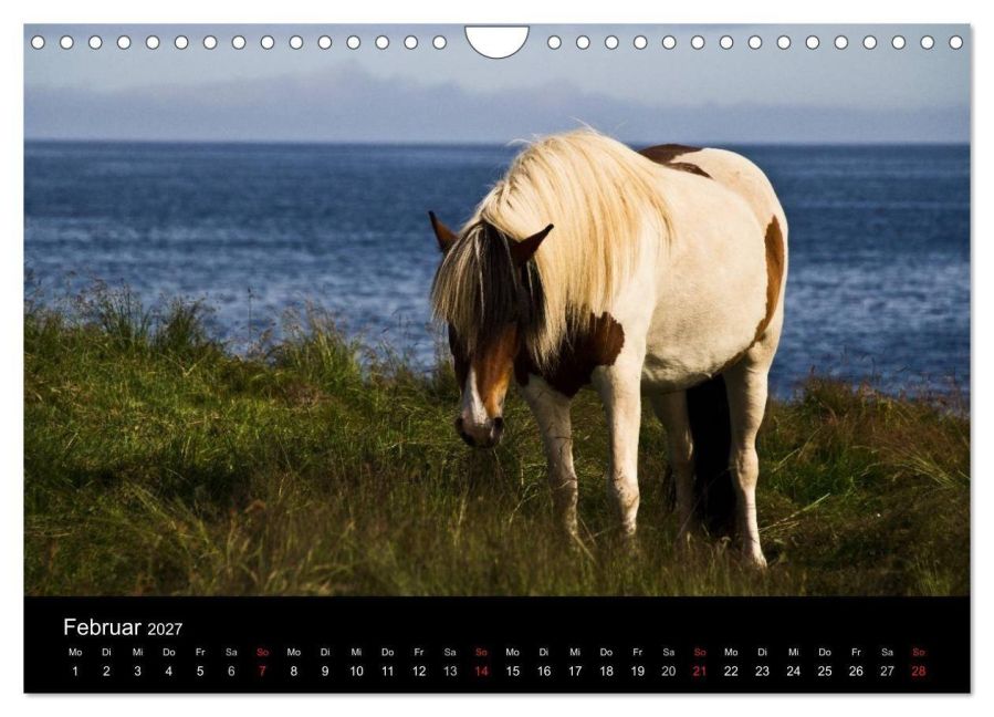 InsideView 7